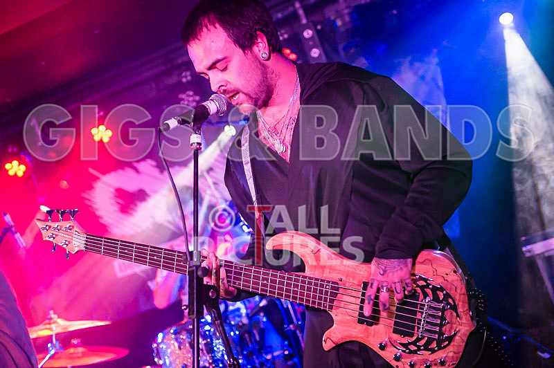 Static Alice-198 - STATIC ALICE