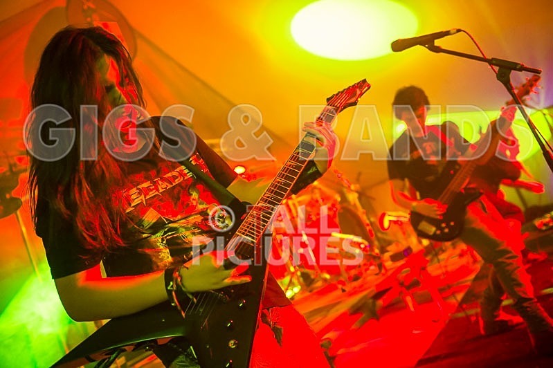 Stone Em All-103 - STONE EM ALL