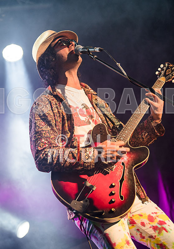 Surfin Birds-21 - SURFIN' BIRDS