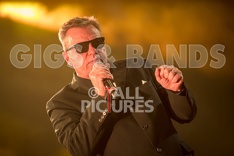 Madness-86 - MADNESS