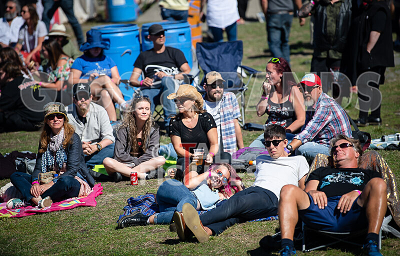 Vale Earth Fair 2020_THE SCENE-42 - VALE EARTH FAIR 2020_THE SCENE