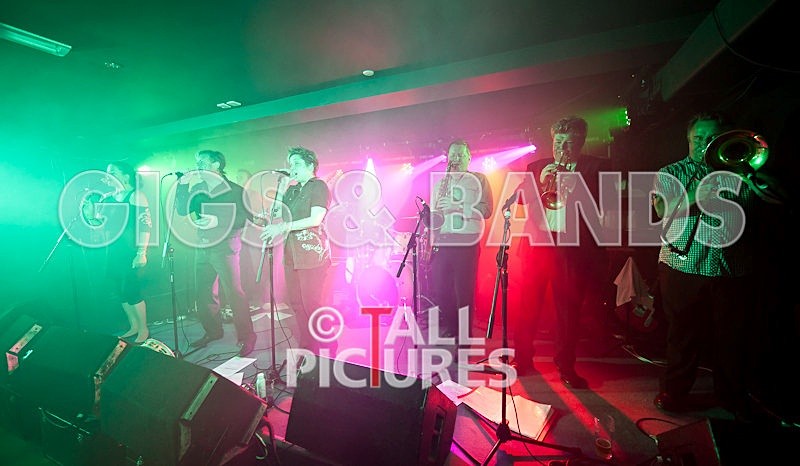 King Rat and the Soul Cats-123 - KING RAT & THE SOUL CATS