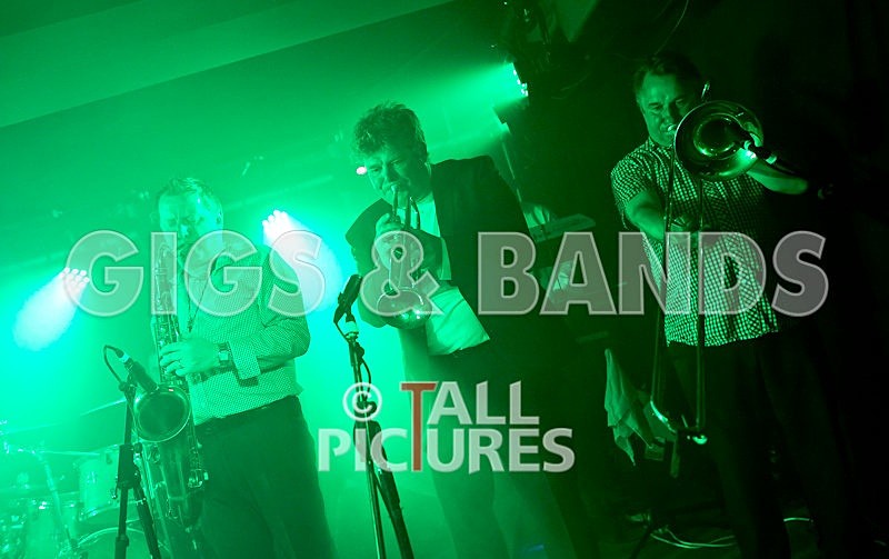 King Rat and the Soul Cats-107 - KING RAT & THE SOUL CATS