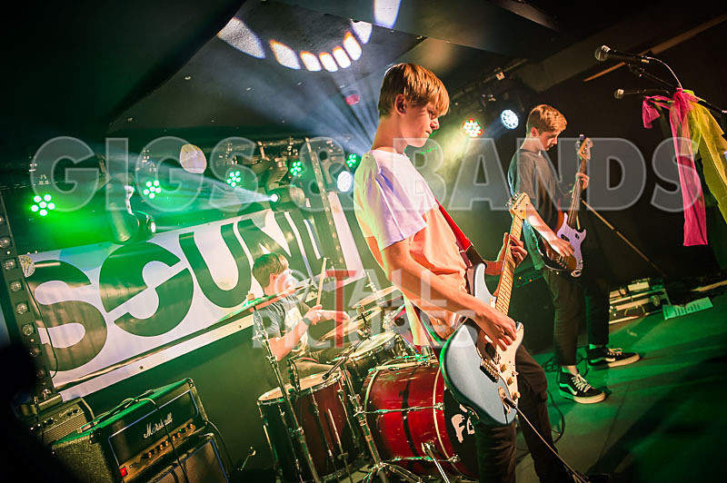 Cosmic Fish-23 - COSMIC FISH