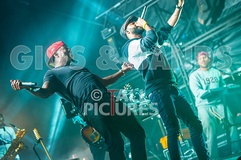 Rudimental-25 - RUDIMENTAL