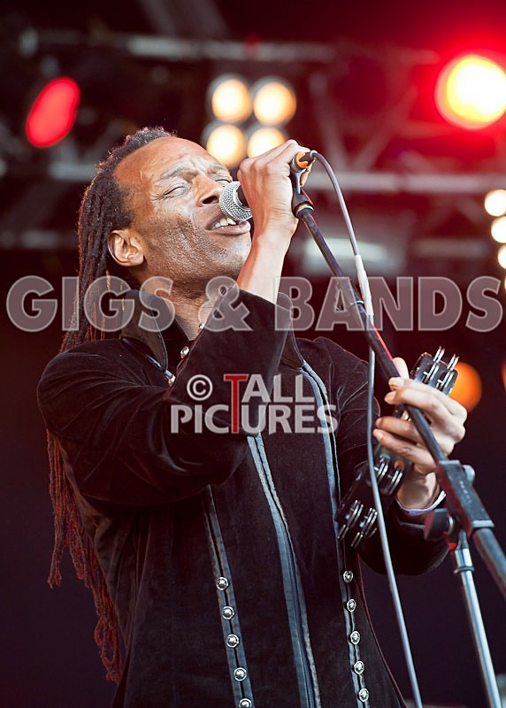 The Beat-42 - THE BEAT