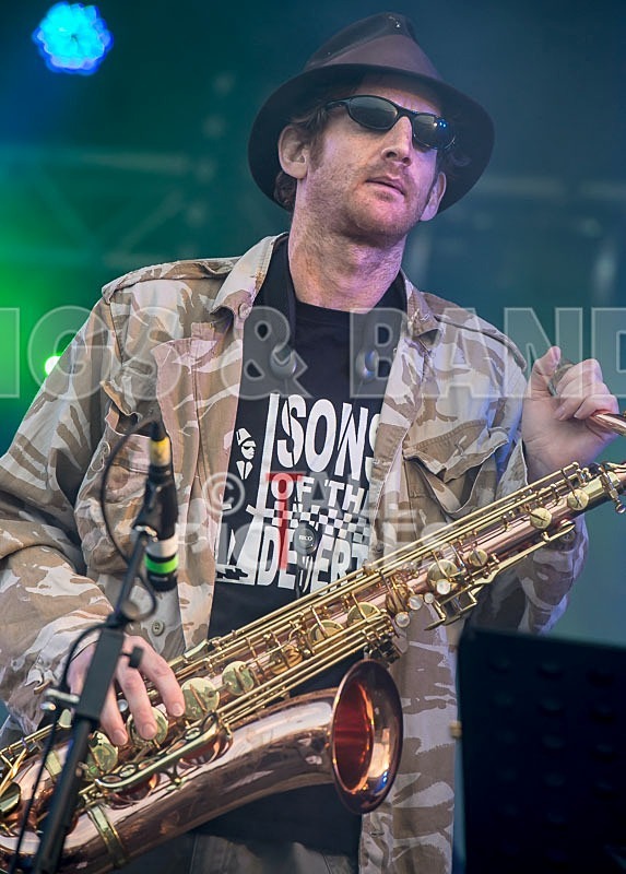 Sons of the Desert-194 - SONS OF THE DESERT