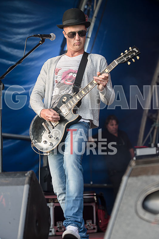 Peppered Ant Legs-254 - PEPPERED ANT LEGS