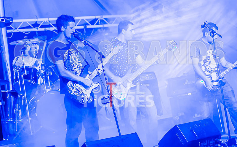 Subversion-41 - SUBVERSION