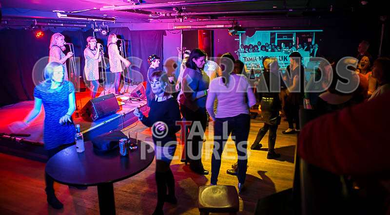 The Blondettes-27 - THE BLONDETTES