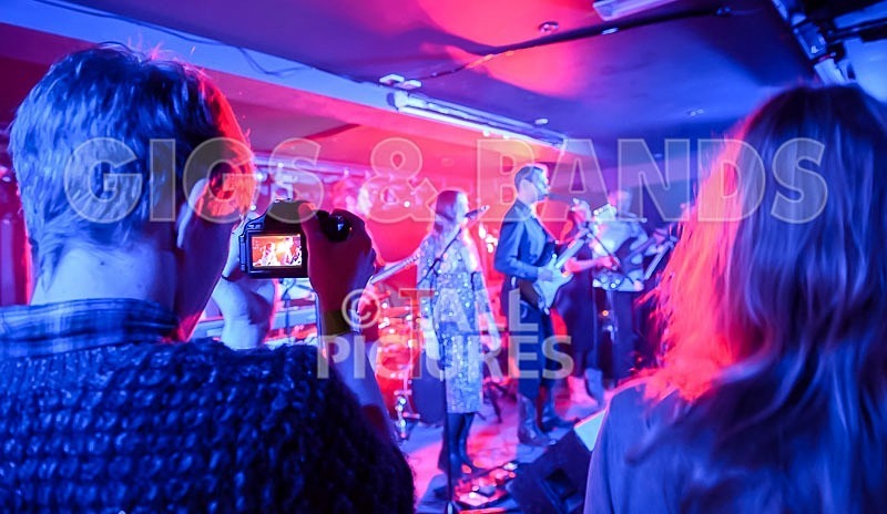 Bill Adlard the Blues Kings-57 - BILL ADLARD & THE BLUES KINGS