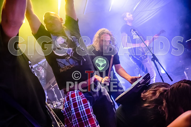 Mechanical Lobster-43 - MECHANICAL LOBSTER