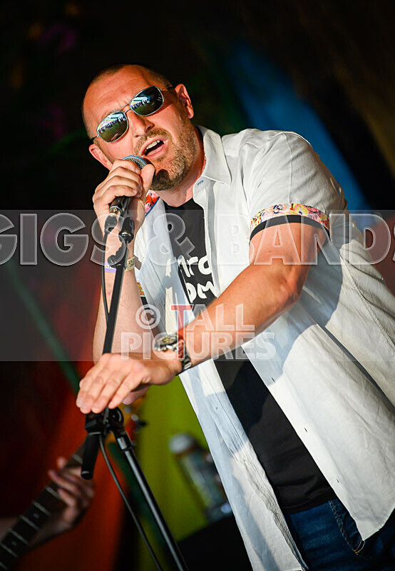 Arctic Donkeys-11 - ARCTIC DONKEYS