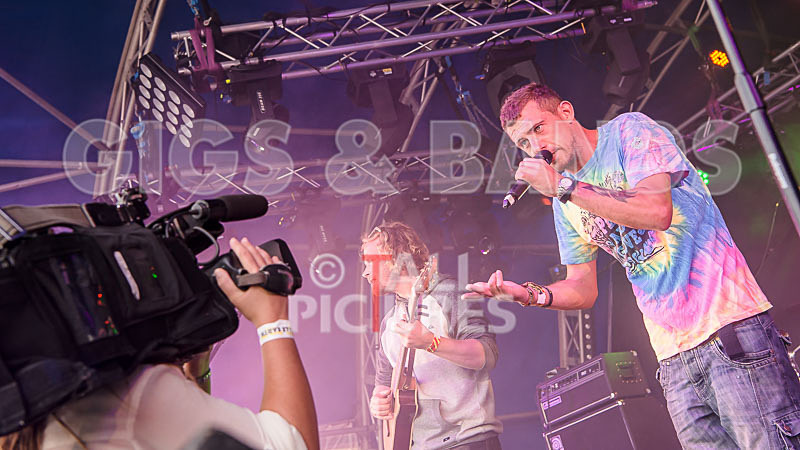 Buffalo Huddleston-460 - BUFFALO HUDDLESTON