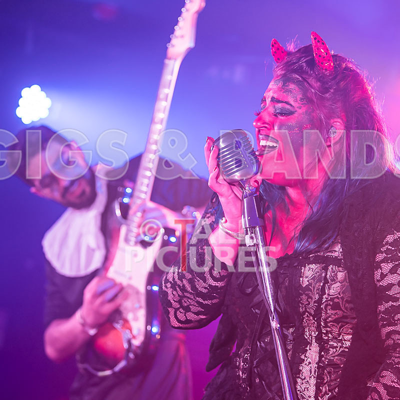 Static Alice-687 - STATIC ALICE