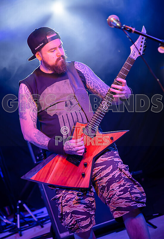 Demise of Sanity-255 - DEMISE OF SANITY