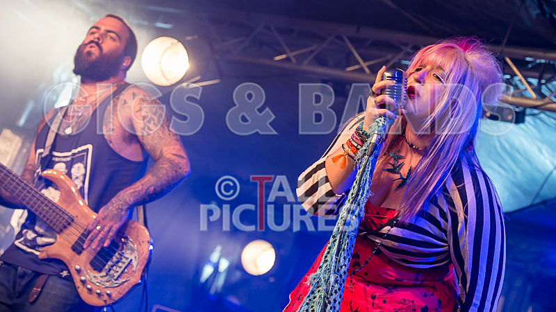 Static Alice-391 - STATIC ALICE