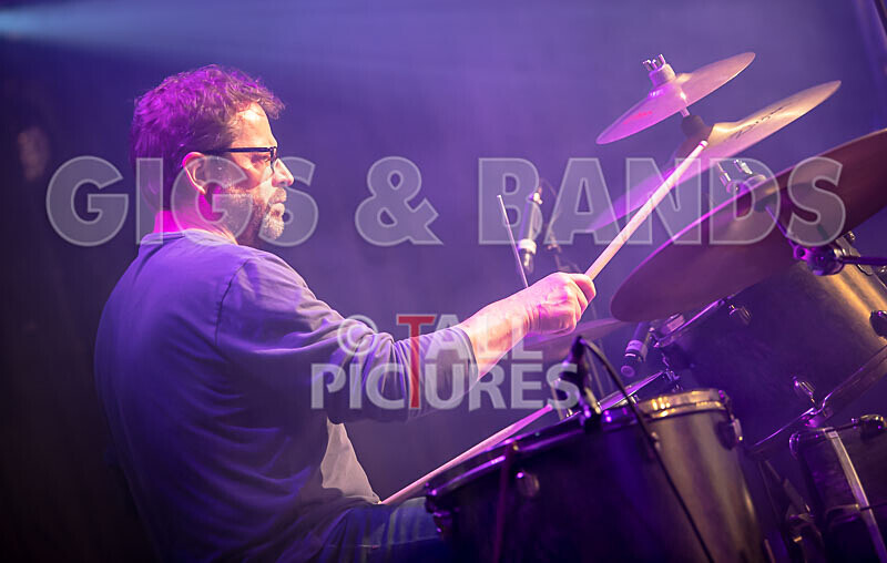 The Vinyls-13 - THE VINYLS