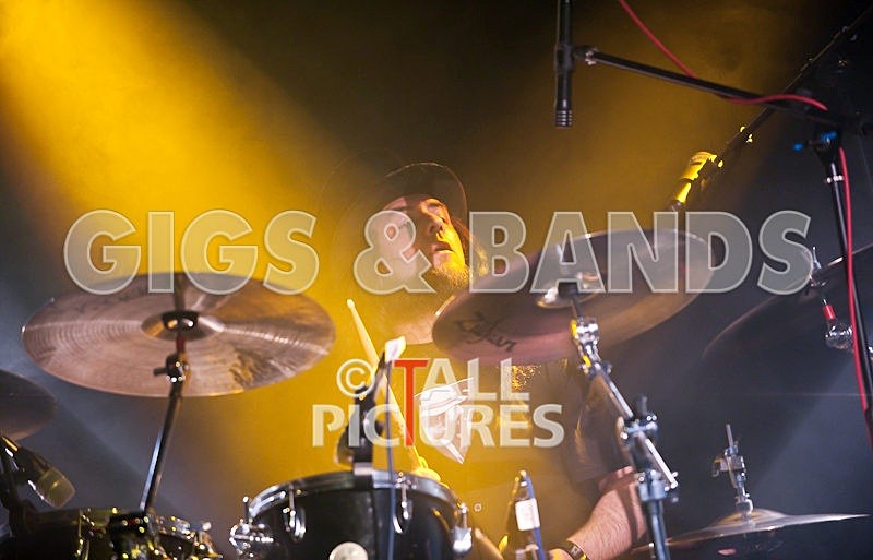 Peppered Ant Legs-37 - PEPPERED ANT LEGS at RoA-3