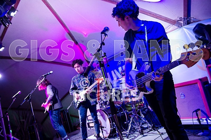 Last Dinosaurs-21 - LAST DINOSAURS