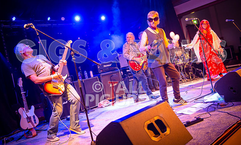 The Sacred Hearts-72 - THE SACRED HEARTS