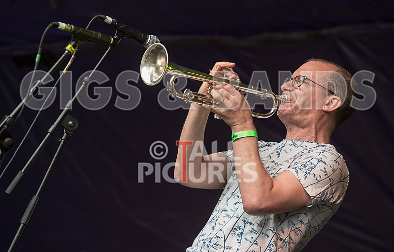 Molotov Jukebox-45 - MOLOTOV JUKEBOX