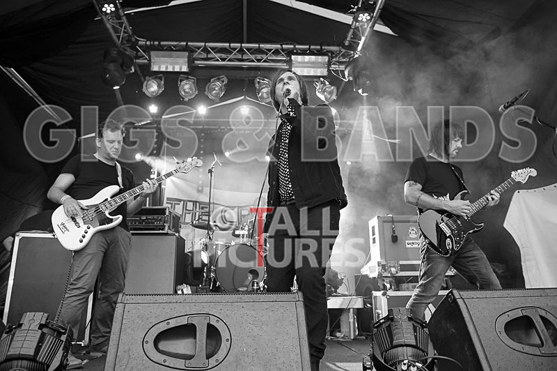 The Cryptics-100 - THE CRYPTICS