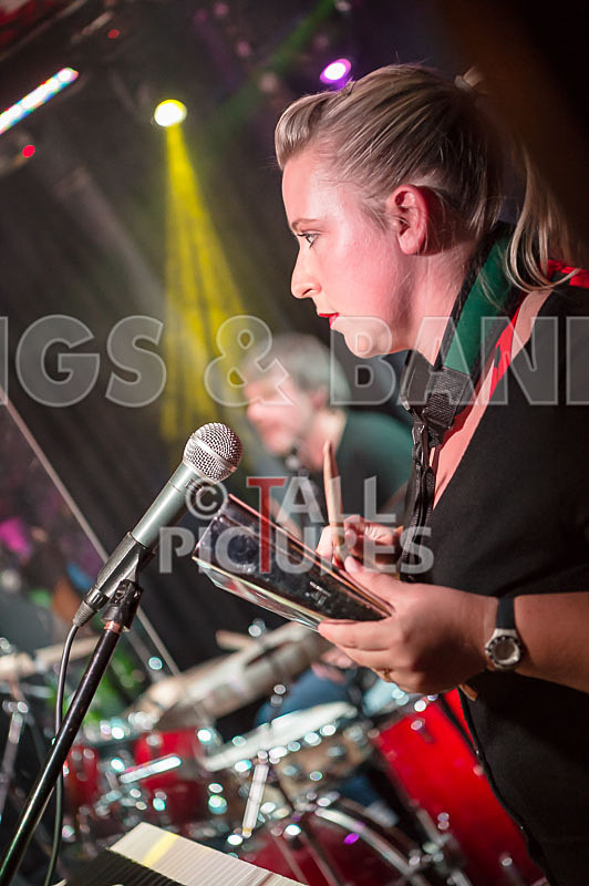 Matt Bonneville  the Cage Shakers-23 - MATT BONNVILLE & THE CAGE SHAKERS