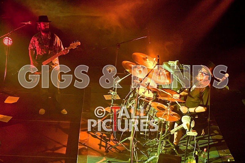 Peppered Ant Legs-16 - PEPPERED ANT LEGS at RoA-3