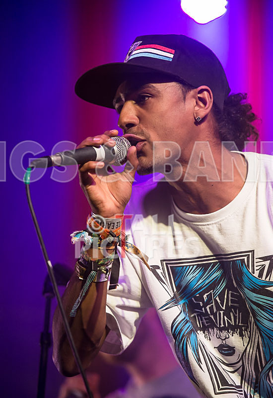 The Mouse Outfit-31 - THE MOUSE OUTFIT