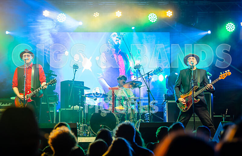 Ruts DC-45 - RUTS DC