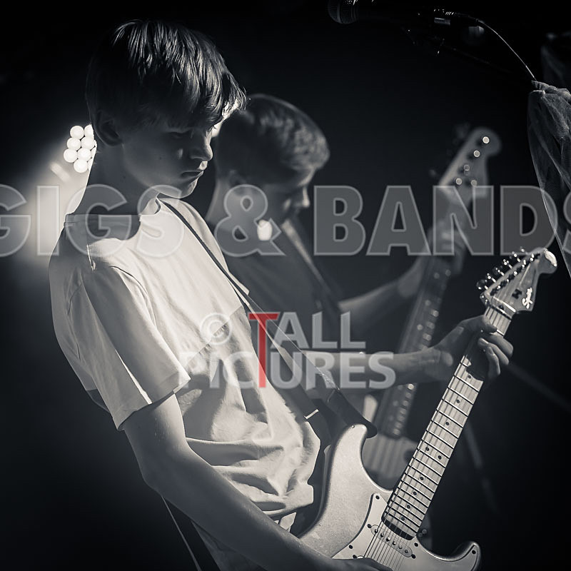 Cosmic Fish-5 - COSMIC FISH