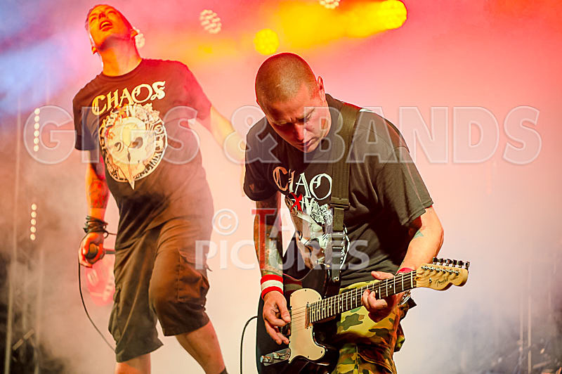 Spunge-144 - [spunge]