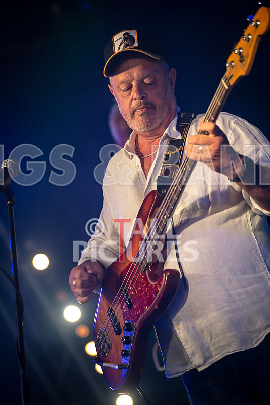 The Vinyls-12 - THE VINYLS