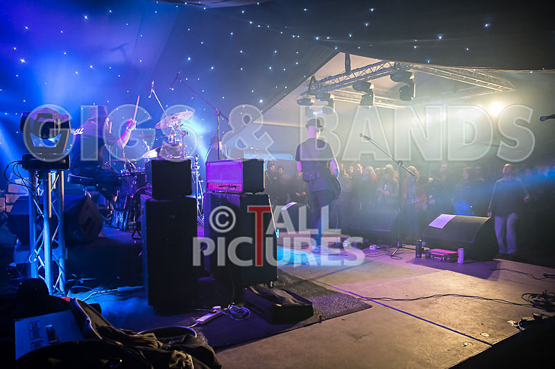 Peppered Ant Legs-200 - PEPPERED ANT LEGS