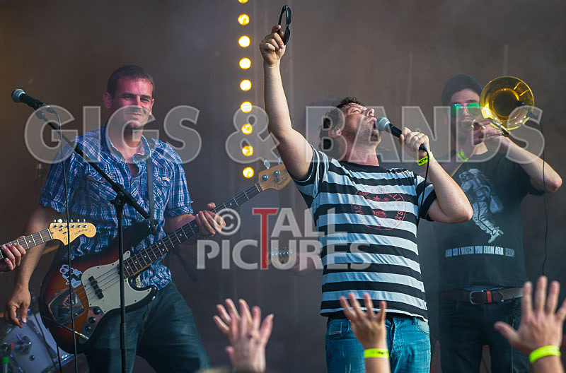 Pirate Party Brigade-39 - PIRATE PARTY PARADE