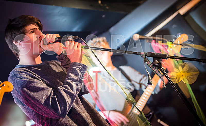 Isle Stone-10 - ISLE STONE