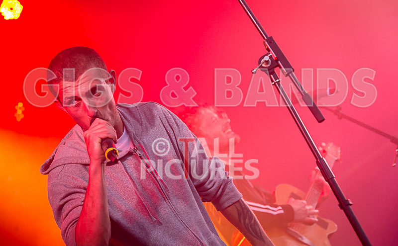 Buffalo Huddleston-190 - BUFFALO HUDDLESTON