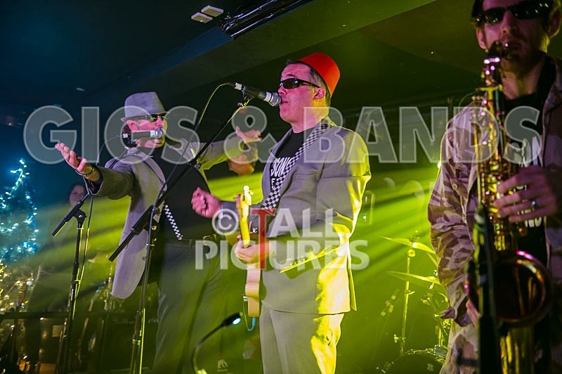 Sons of the Desert-133 - SONS OF THE DESERT