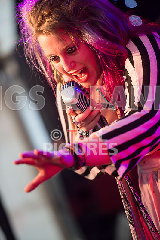 Static Alice-413 - STATIC ALICE