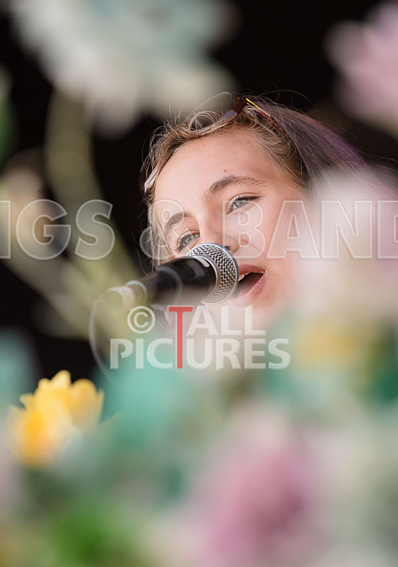 SoPM Vale Earth Fair-2 - SoPM on the VIEWALALU STAGE