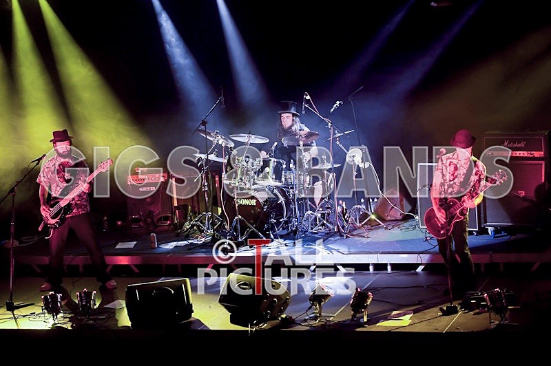 Peppered Ant Legs-45 - PEPPERED ANT LEGS at RoA-3