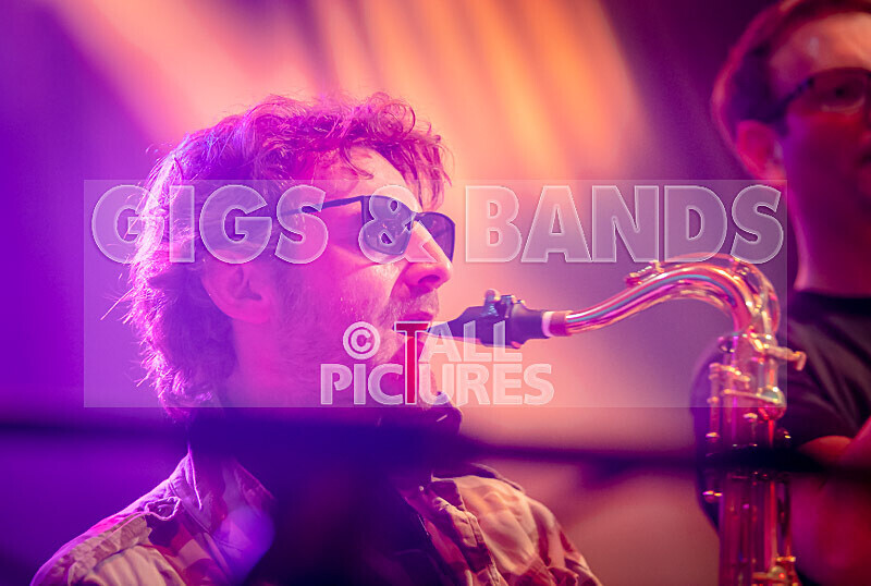 Sons of the Desert-418 - SONS OF THE DESERT