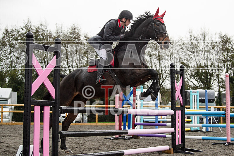 Senior Showjumping_10-11-2019-13 - BS GUERNSEY RALLY 2019-SENIORS