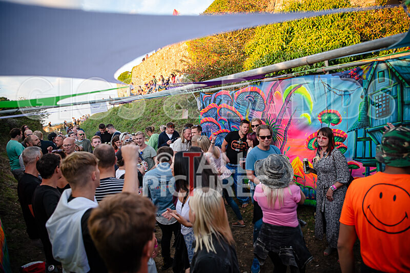 Vale Earth Fair 2020_THE SCENE-8 - VALE EARTH FAIR 2020_THE SCENE