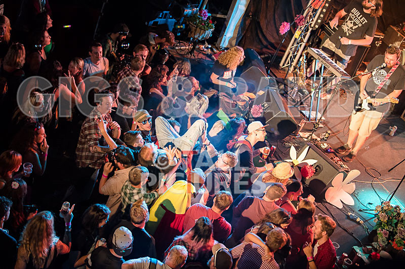 Honest Crooks-203 - HONEST CROOKS