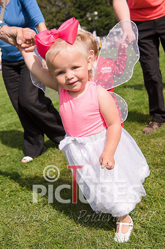 North Show 2017-52 - NORTH SHOW 2017