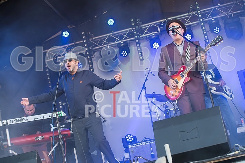 Sons of the Desert-189 - SONS OF THE DESERT