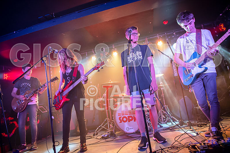 Unconventional Sponge-10 - UNCONVENTIONAL SPONGE