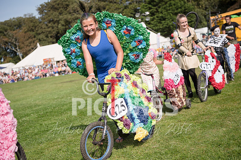 North Show 2017-36 - NORTH SHOW 2017
